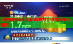 跨境微電商實戰(zhàn)培訓助力全球市場快速起航