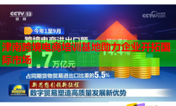 津南跨境電商培訓(xùn)基地助力企業(yè)開拓國際市場