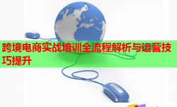 跨境電商實(shí)戰(zhàn)培訓(xùn)全流程解析與運(yùn)營技巧提升