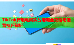 TikTok跨境電商實(shí)戰(zhàn)培訓(xùn)全攻略與運(yùn)營技巧解析