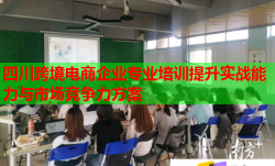四川跨境電商企業(yè)專業(yè)培訓(xùn)提升實(shí)戰(zhàn)能力與市場競爭力方案