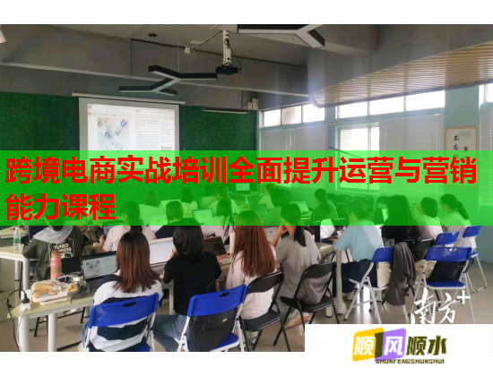 跨境電商實戰(zhàn)培訓(xùn)全面提升運營與營銷能力課程  第2張