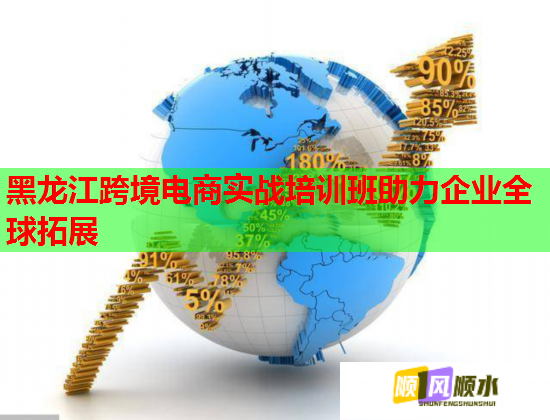 黑龍江跨境電商實(shí)戰(zhàn)培訓(xùn)班助力企業(yè)全球拓展  第1張