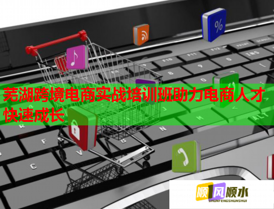 蕪湖跨境電商實(shí)戰(zhàn)培訓(xùn)班助力電商人才快速成長(zhǎng)  第1張