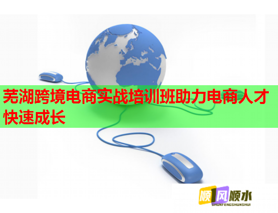 蕪湖跨境電商實(shí)戰(zhàn)培訓(xùn)班助力電商人才快速成長(zhǎng)  第2張
