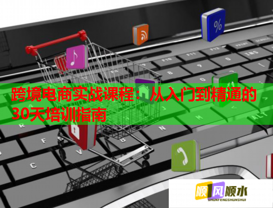 跨境電商實(shí)戰(zhàn)課程：從入門到精通的30天培訓(xùn)指南  第2張