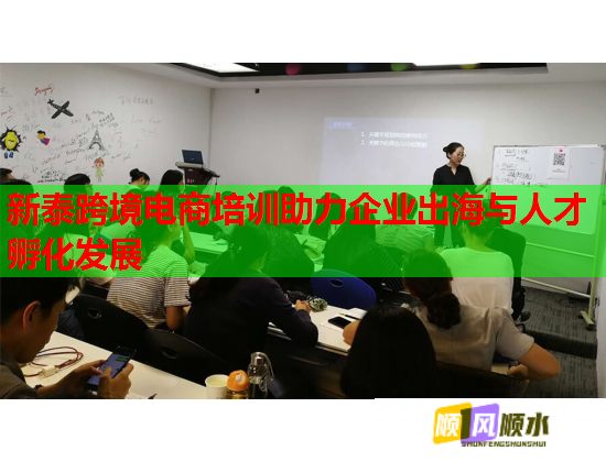 新泰跨境電商培訓助力企業(yè)出海與人才孵化發(fā)展  第1張