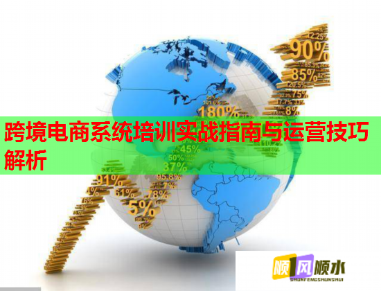 跨境電商系統(tǒng)培訓實戰(zhàn)指南與運營技巧解析  第3張