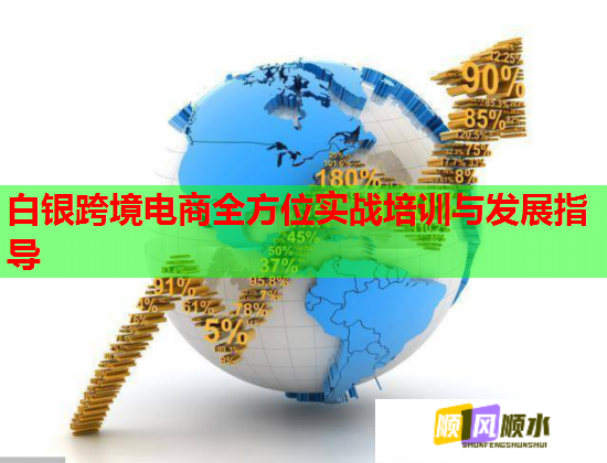 白銀跨境電商全方位實(shí)戰(zhàn)培訓(xùn)與發(fā)展指導(dǎo)  第1張