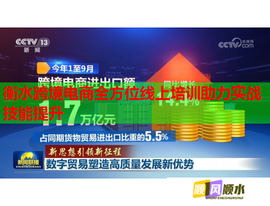 衡水跨境電商全方位線上培訓助力實戰(zhàn)技能提升  第1張