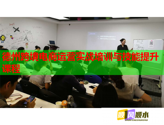 德州跨境電商運營實戰(zhàn)培訓(xùn)與技能提升課程  第1張
