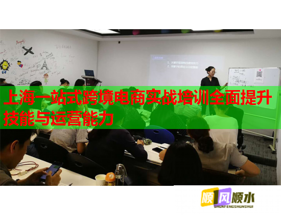 上海一站式跨境電商實(shí)戰(zhàn)培訓(xùn)全面提升技能與運(yùn)營(yíng)能力  第1張