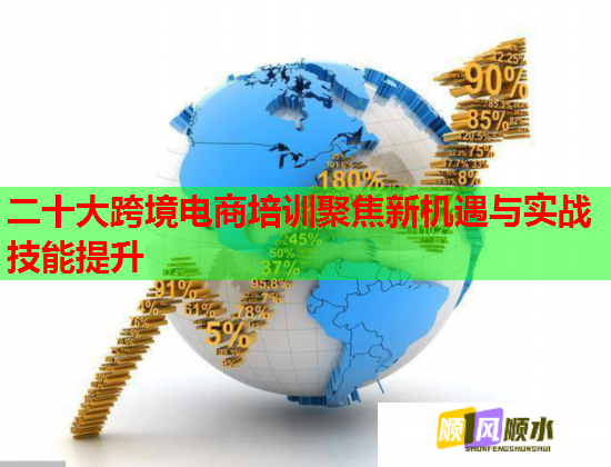 二十大跨境電商培訓(xùn)聚焦新機(jī)遇與實(shí)戰(zhàn)技能提升  第1張
