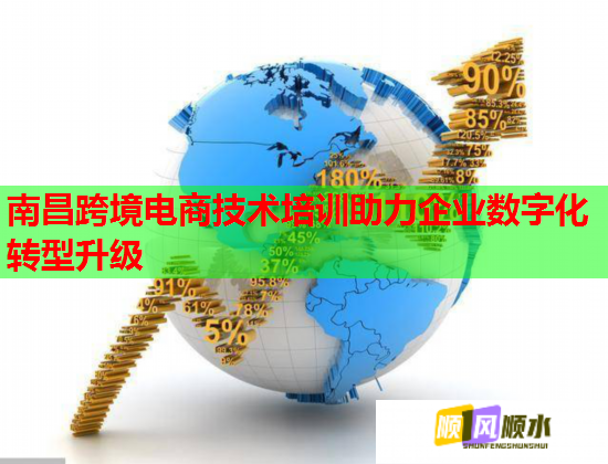南昌跨境電商技術(shù)培訓(xùn)助力企業(yè)數(shù)字化轉(zhuǎn)型升級  第1張