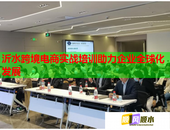 沂水跨境電商實(shí)戰(zhàn)培訓(xùn)助力企業(yè)全球化發(fā)展  第1張