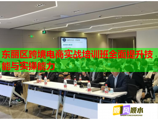 東麗區(qū)跨境電商實(shí)戰(zhàn)培訓(xùn)班全面提升技能與實(shí)操能力  第1張