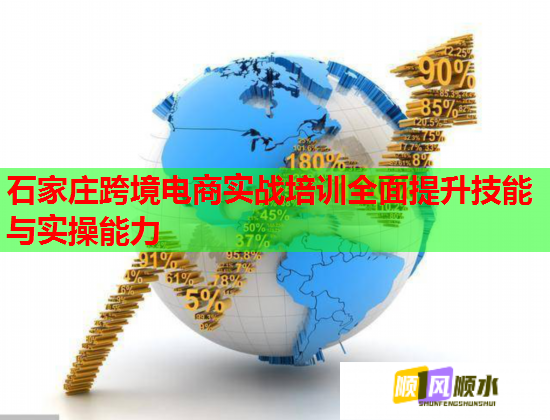 石家莊跨境電商實(shí)戰(zhàn)培訓(xùn)全面提升技能與實(shí)操能力  第3張