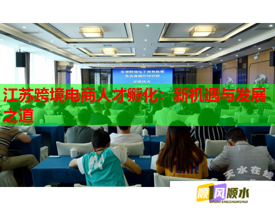 江蘇跨境電商人才孵化：新機遇與發(fā)展之道  第1張