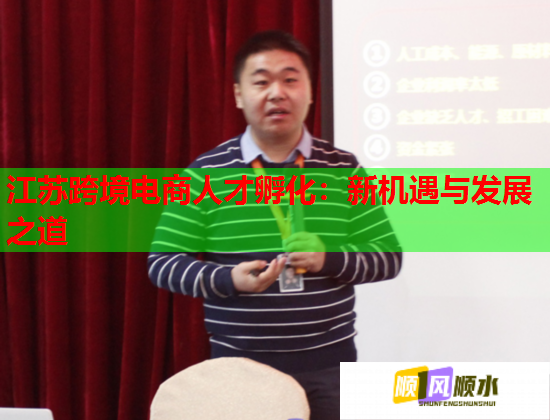 江蘇跨境電商人才孵化：新機遇與發(fā)展之道  第2張